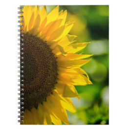 Notizbuch - Sonnenblume auf dem Feld Notizblock