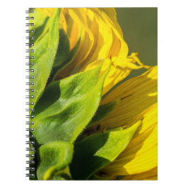 Notizbuch - Sonnenblumen-Rückenprofil Notizblock