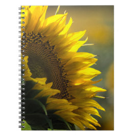 Notizbuch - Sonnenblumenfeld Rätsel Notizblock