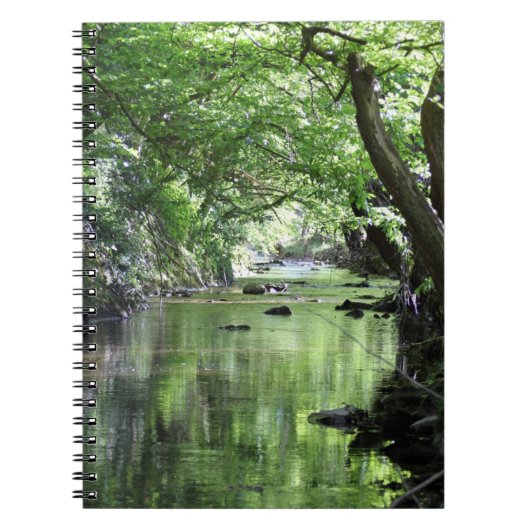 Notizbuch Waldbach Notizblock (Vorderseite)