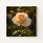 Notizbücher & Tagebücher (Rückseite)