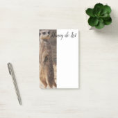 Notizen Meerkat (Büro)