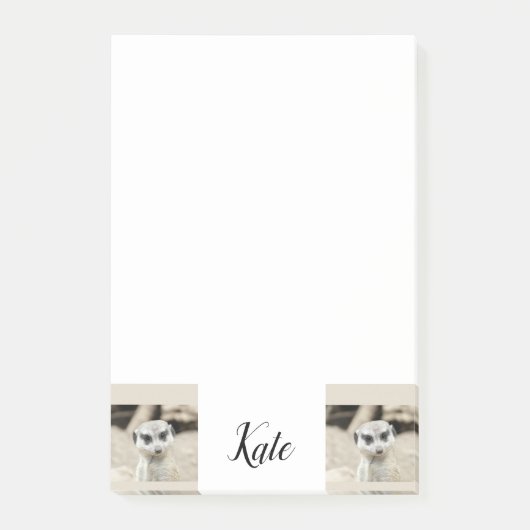 Notizen Meerkat (Vorderseite)