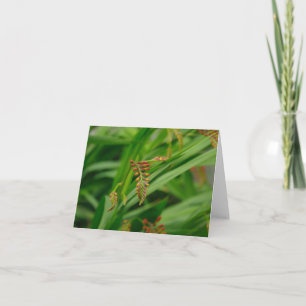 Notizkarte mit grünen Blättern Karte