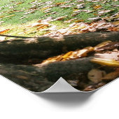 Notoway Plantation Print Poster (Ecke)