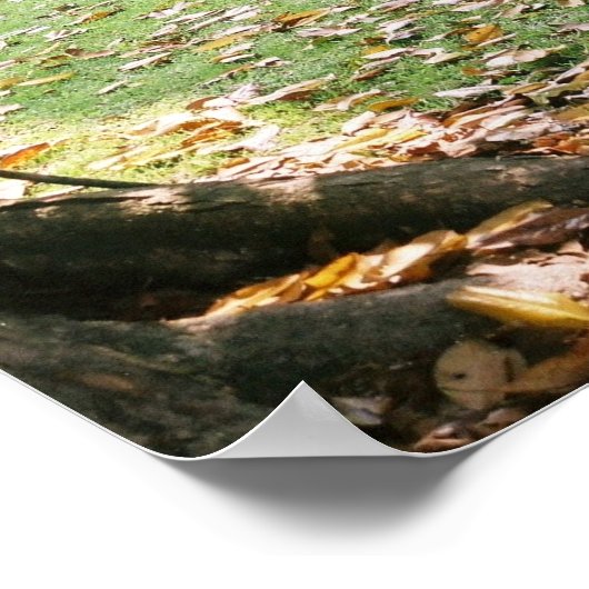 Notoway Plantation Print Poster (Ecke)