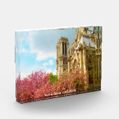 Notre Dame (1163-2019) Fotoblock (Links)