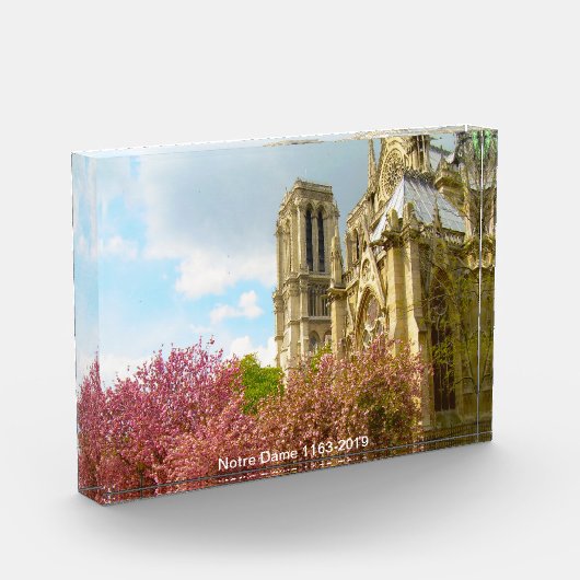 Notre Dame (1163-2019) Fotoblock (Links)