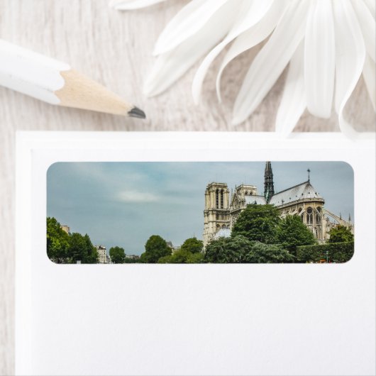 Notre Dame Cathedral in Paris (Insitu)