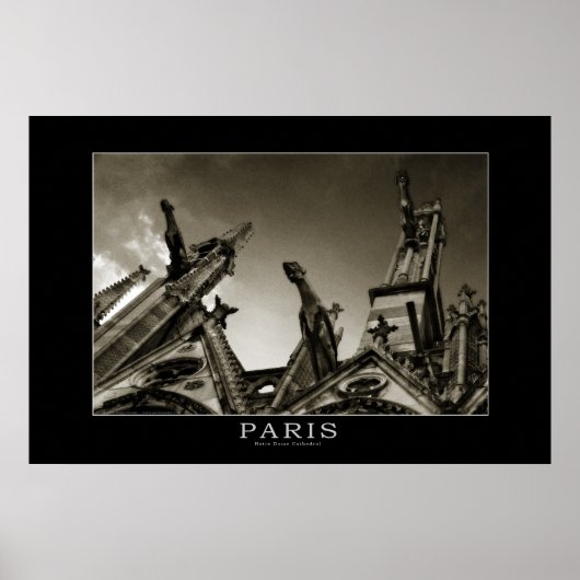 Notre Dame Cathedral Poster (Vorne)