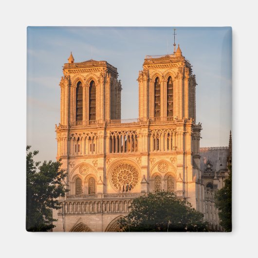 Notre Dame de Paris at Golden Hour - Paris, Frankr Magnet (Vorne)