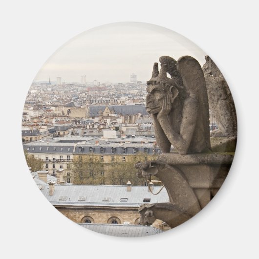 Notre Dame de Paris chimera Magnet (Vorne)