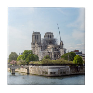 Notre Dame de Paris, der Tag nach dem Brand von 20 Fliese