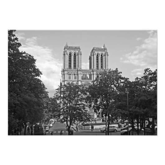 Notre Dame de Paris im Grünen der Bäume Fotodruck (Vorne)