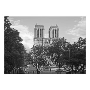 Notre Dame de Paris in der Umwelt der Bäume Fotodruck