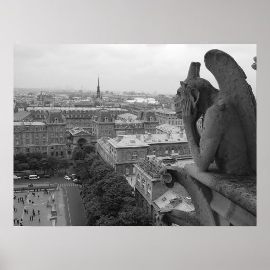 Notre Dame Gargoyle 2 Poster (Vorne)