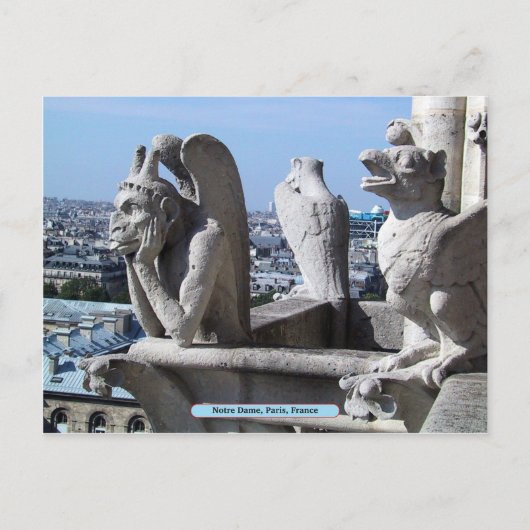 Notre Dame, Paris, Frankreich Postkarte (Vorderseite)