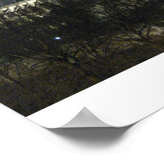 Notre Dame Poster (Ecke)