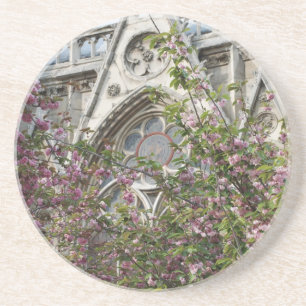 Notre Dame spring Untersetzer