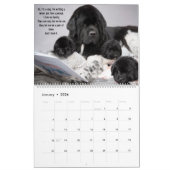 Notta Bären Hunde sind auch Menschen! Kalender (Jan 2026)