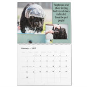 Notta Bären Hunde sind auch Menschen! Kalender (Feb 2027)