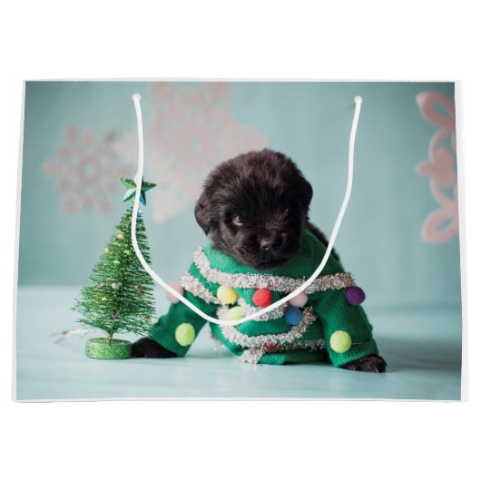 Notta Bärn-Welpen-Geschenk-Tasche Große Geschenktüte (Vorderseite)