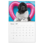 Notta Bear Durch Das Jahr Kalender (Feb 2027)