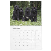 Notta Bear Durch Das Jahr Kalender (Mär 2027)