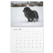Notta Bear Durch Das Jahr Kalender (Jan 2027)