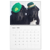 Notta Bear Foto Favorites Kalender (Mär 2026)