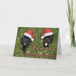 Notta Bear Hairy Christmas Card Feiertagskarte