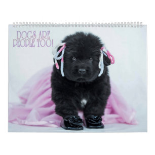 Notta Bear Hunde sind auch Menschen! Kalender