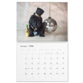 Notta Bear Nefundlands Jahr der Welpen Kalender (Jan 2026)