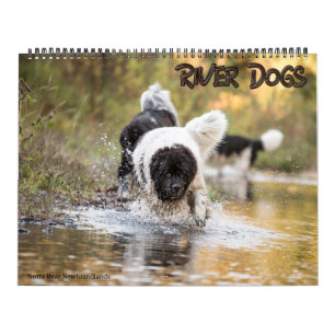 Notta Bear Neufundländer River Dogs Kalender