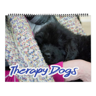 Notta Bear Neufundländer-Therapiehunde-Kalender Kalender