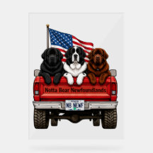 Notta Bear Newfoundlands – Patriotischer Pickup