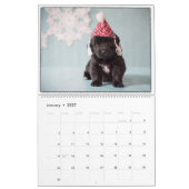 Notta Bear Newfundlands Mehr Welpen Kalender (Jan 2027)