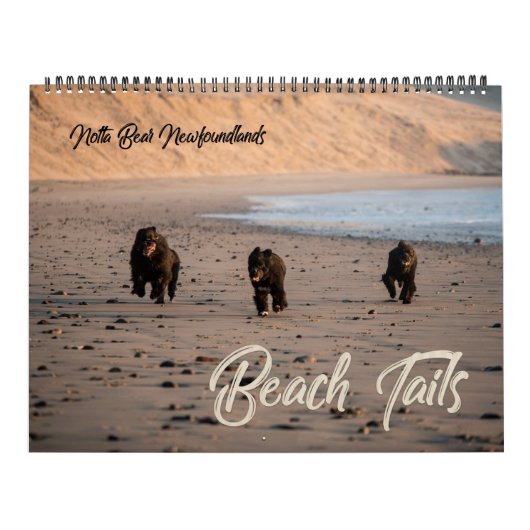 Notta Bear Newfundlands Oregon Beach Calendar Kalender (Titelbild)