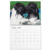 Notta Bear Newfundlands Pool Calendar Kalender (Feb 2026)