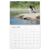 Notta Bear Newfundlands River Dogs Kalender (Jan 2027)