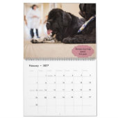 Notta Bear Newfundlands Therapy Dogs Kalender (Feb 2027)