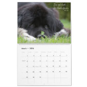 Notta Bear Newfundlands Verses Kalender (Mär 2026)