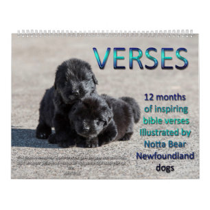Notta Bear Newfundlands Verses Kalender