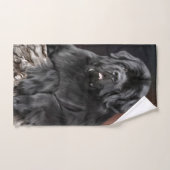 Notta Bear Stump King Drop Handtuch (Handtuch)