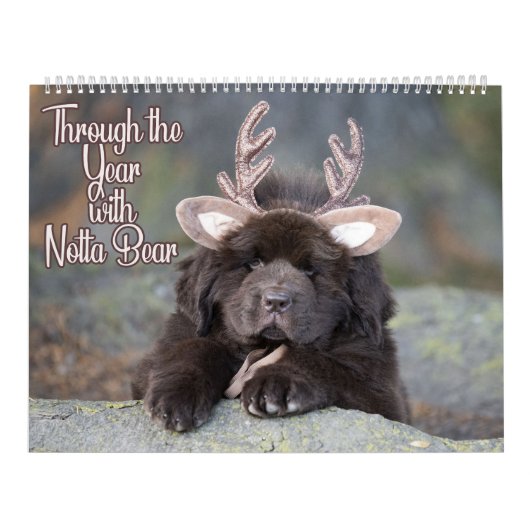 Notta Bear Through The Year Kalender (Titelbild)