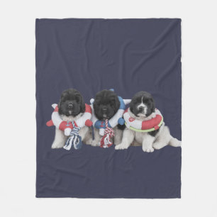 Notta Bear Water Babies Decke