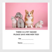 Notversorgung eines Hauses Fensteraufkleber (Blatt)