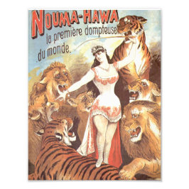 Nouma Hawas Flüstern zu Tigern Fotodruck