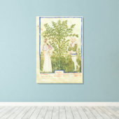 Nouv Acq Lat Celery von 'Tacuinum Sanitatis' Leinwanddruck (Insitu (Holzboden))