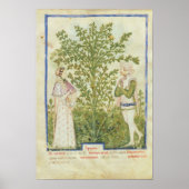 Nouv Acq Lat Celery von 'Tacuinum Sanitatis' Poster (Vorne)